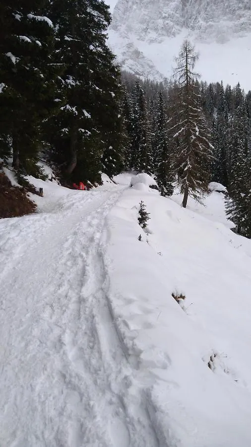 Appartamento A 2,5 Km Da Alleghe